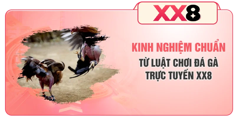 Kinh nghiệm chuẩn từ luật chơi đá gà trực tuyến XX8
