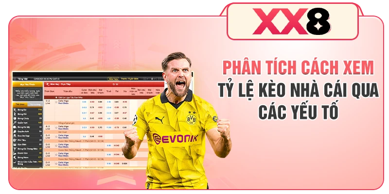 Phân tích cách xem tỷ lệ kèo nhà cái qua các yếu tố
